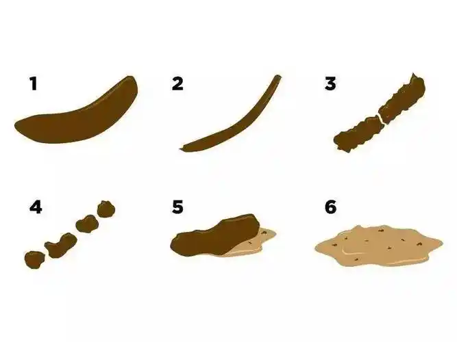 长期坚持省你不少钱!_大便_食物_疾病