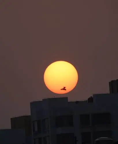 日落肺回家的鸽子正好,日落时的夕阳更变化无穷,真是夕阳无限好.