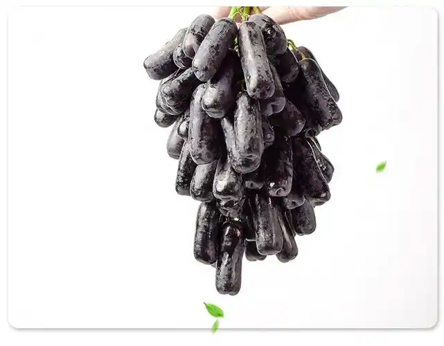 美国澳洲金手指黑提子甜蓝宝石黑加仑无籽黑提【顺丰空运】 澳洲