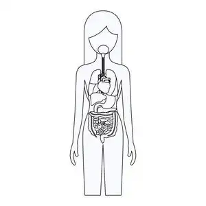 人体素描图片-人体素描素材-人体素描插画-摄图新视界