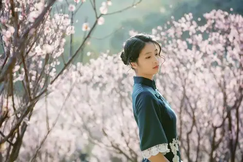 梅花-穿旗袍的女子