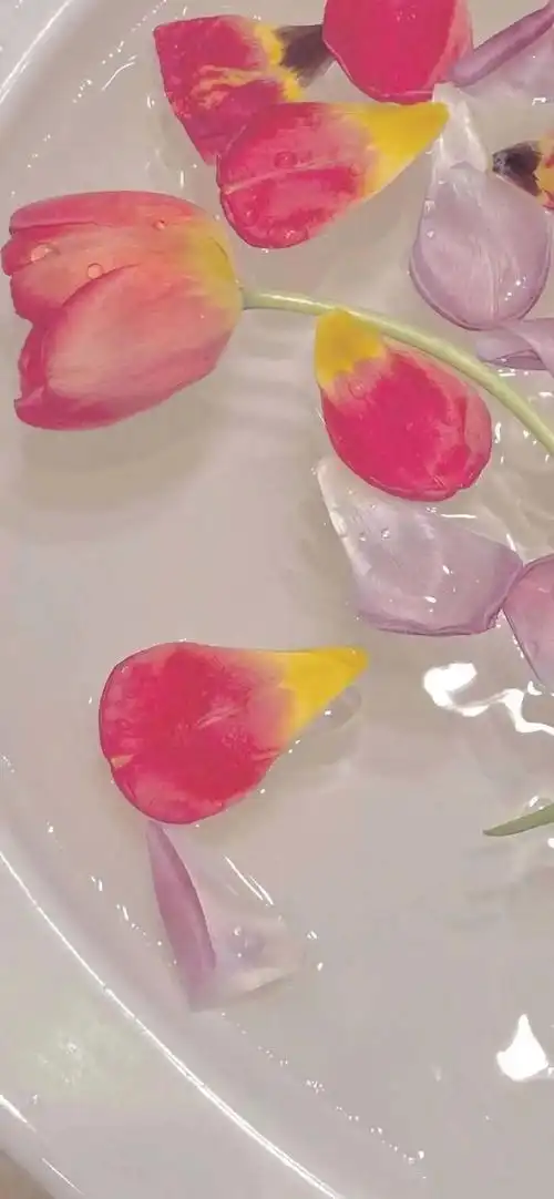 简约小清新高级感壁纸67日子是崭新的不许往后看