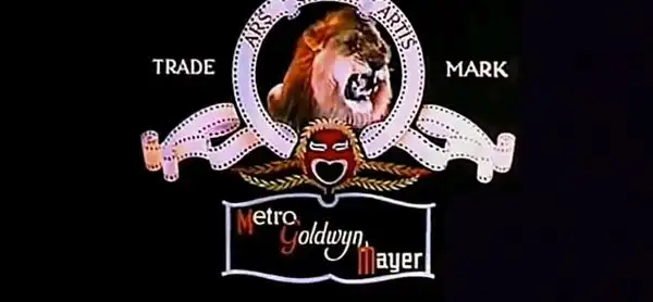 爸爸们又找了两只狮子telly和coffee,对它们进行局部彩色的拍摄