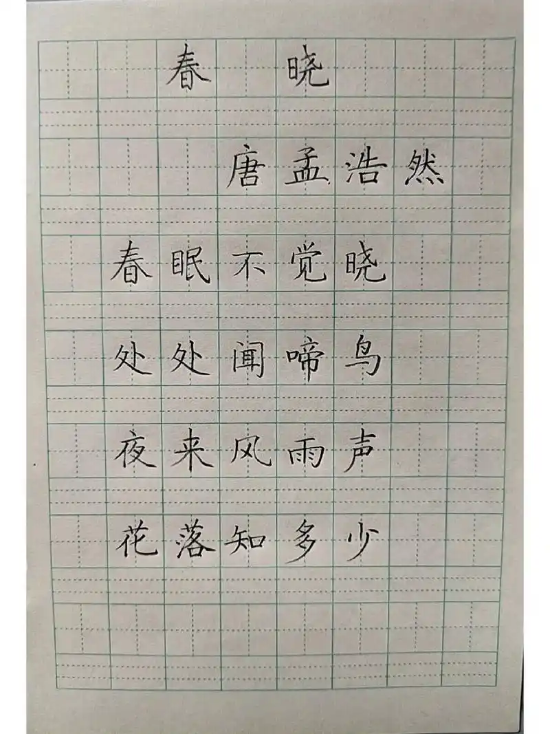硬笔古诗《春晓》每日练字打卡 我的书法分享 每日古诗打卡 春晓 手写