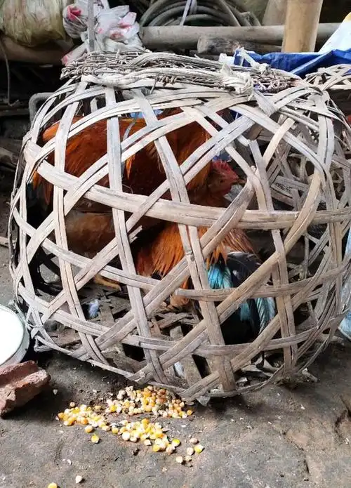 鸡笼蒸缸水缸腌菜用