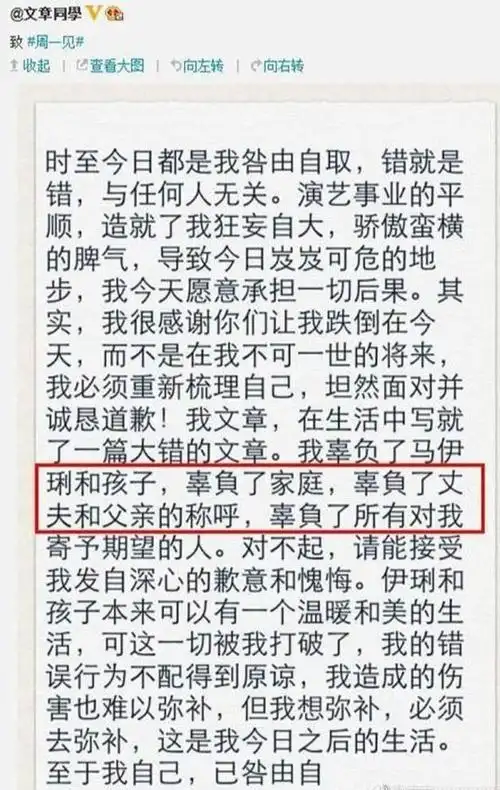 2014年3月28在马伊琍怀2胎的时候,文章被拍到和姚笛出轨在一起的