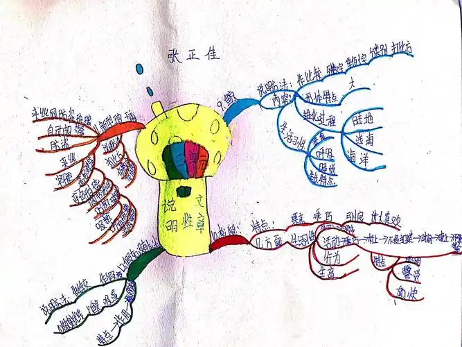 五年级十一班第三期优秀作品展——第三单元"学习说明性文章"思维导图