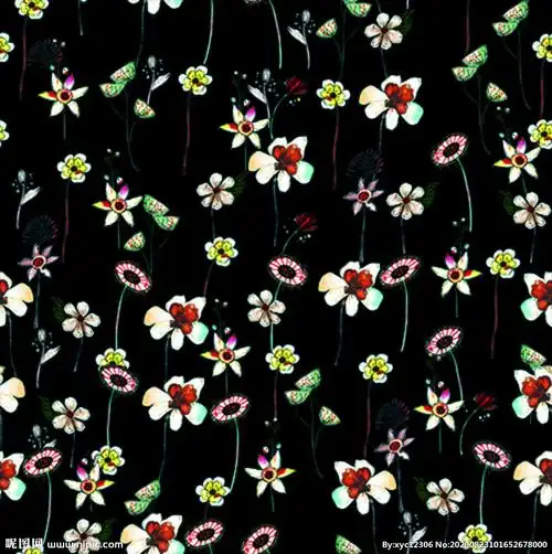 服装设计印花图案黑底花朵图片