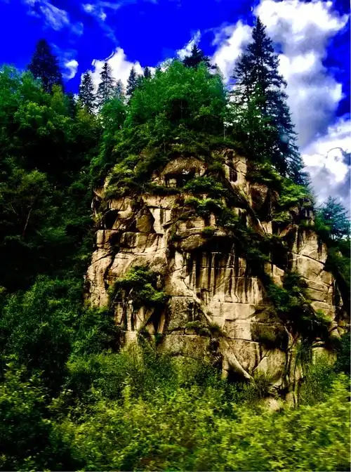 甘南之旅—冶力关国家森林公园