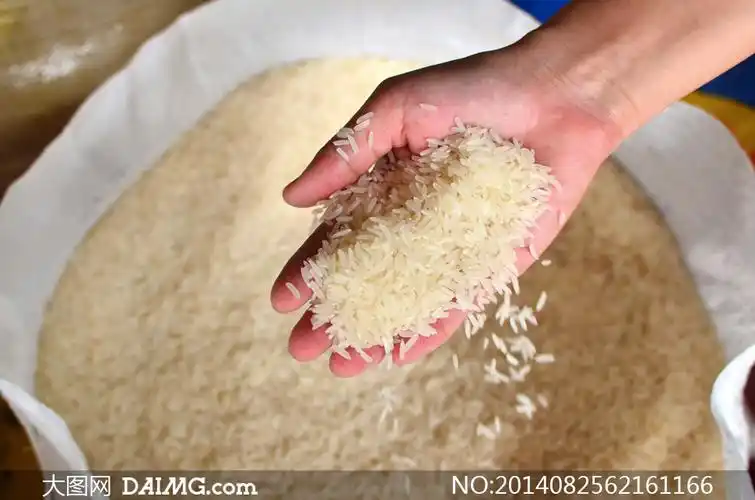 抓一把大米粒的手特写摄影高清图片