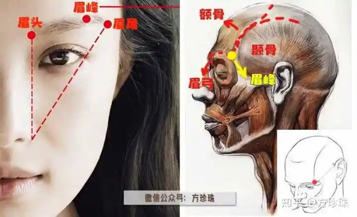 如何根据眉骨修眉,画眉?