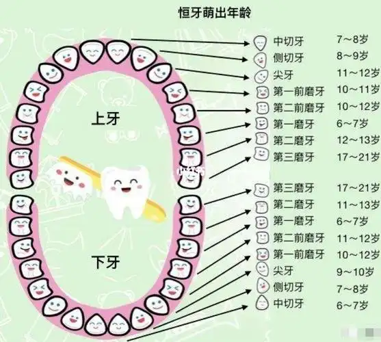 宝妈们看过来_牙齿保护_牙医_牙齿保护计划_母婴_育儿经验