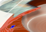 192_132gif 动态图 动图