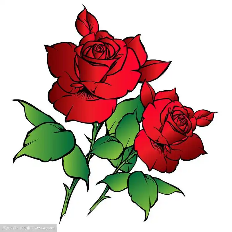 玫瑰花红色卡通10