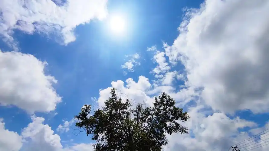 晴天98 - 小米社区