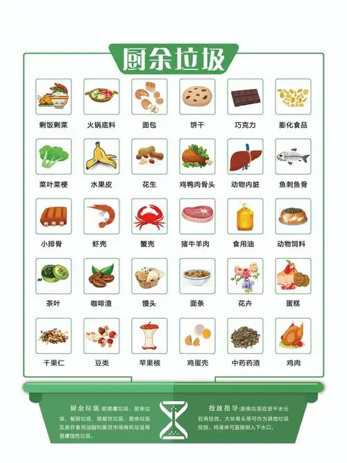 垃圾分类 从我做起