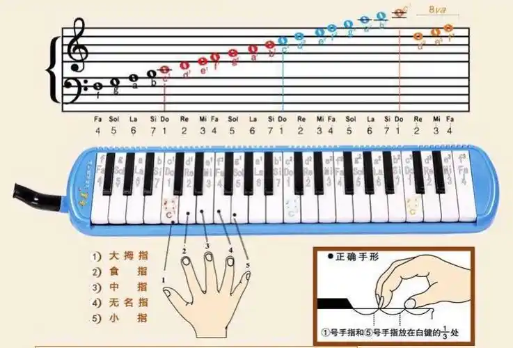对于初学者来说,正确的手型及指法是演奏好乐曲的关键所在.