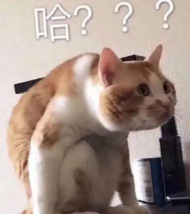 哈?(猫咪问号)_猫咪_问号表情