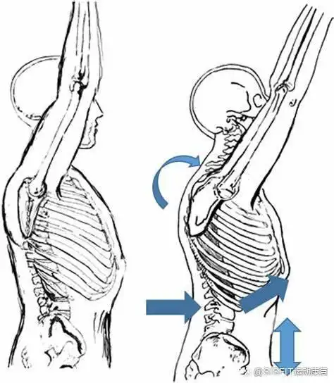 臂举过头顶模的动作,是肩关节的完全屈曲和外旋,包括所有要将臂锁定在
