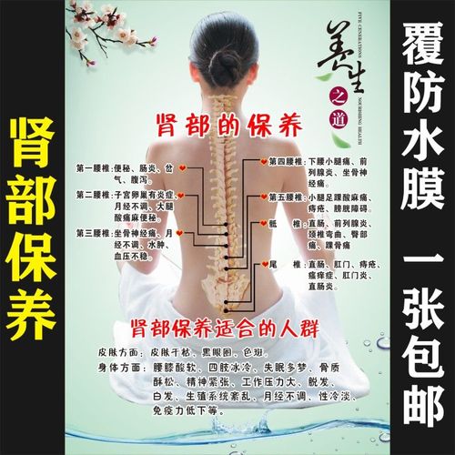 美容院肾部保养图片广告宣传海报养生馆中医养生挂图按摩穴位图