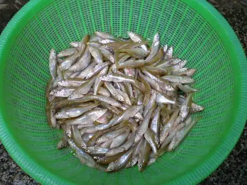 淡水小河鱼两烧法