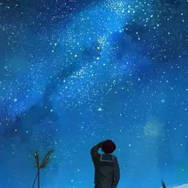 美丽的星空风景静物头像