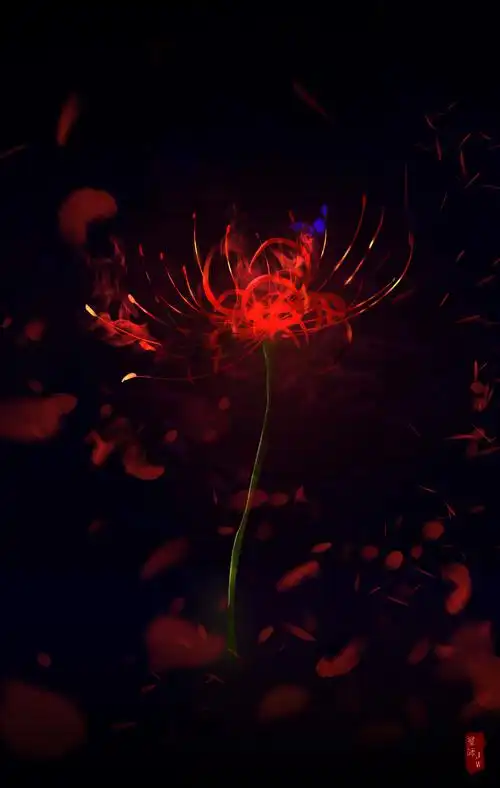 红色彼岸花,花瓣遍地撒,谁会在乎她在哭泣啊?