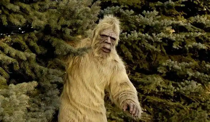 神农架野人流传多年,有上百名目击者,野人真的存在吗?_毛发_科考队_规