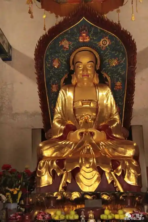 尊者像】【迦叶寺后"盘陀石",迦叶在此入定500年】祝圣寺相比较鸡足山