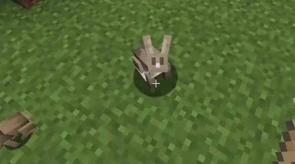 我的世界:兔子在游戏中的概况,浅谈如何寻找-小米游戏中心