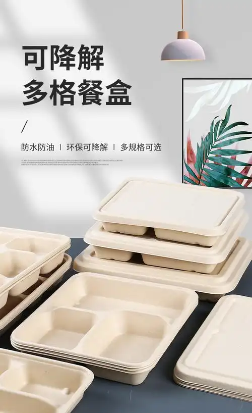 一次性饭盒分格餐盒三四格纸浆打包盒分隔多格外卖可微波降解餐盘