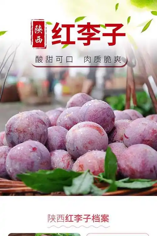 淘宝详情页红李子淘宝详情页