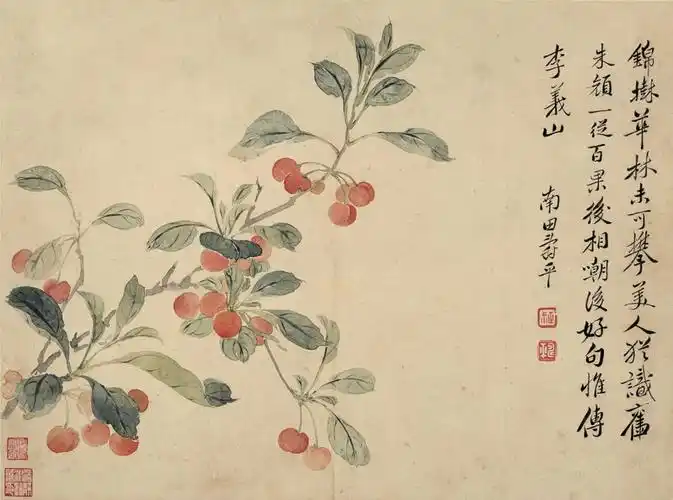 清 华岩(华喦) 花鸟草虫图册 高清大图下载 03 李子图