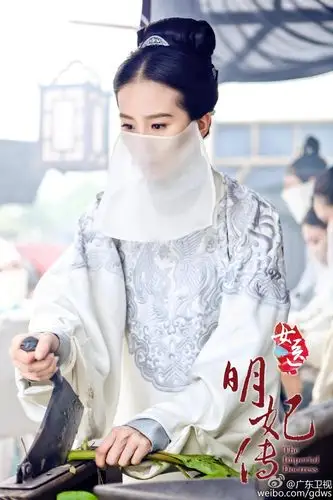 女医明妃传服饰