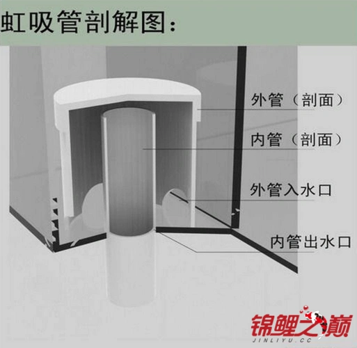 鱼缸过滤全套知识二