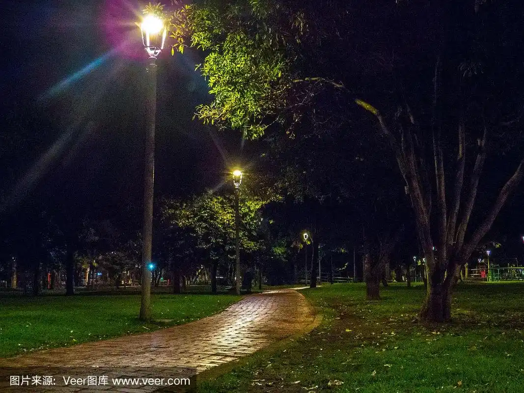 公园,小路,夜晚,城市生活,照明设备