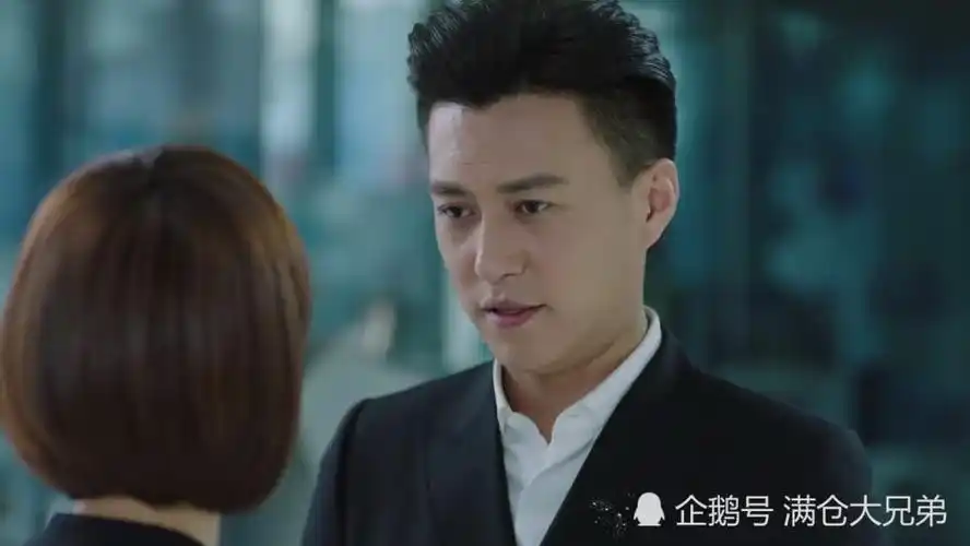 靳东主演《我的前半生》