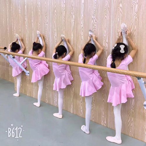 【清仓款】儿童舞蹈服女童练功服夏季短袖开档分体跳舞裙小孩粉