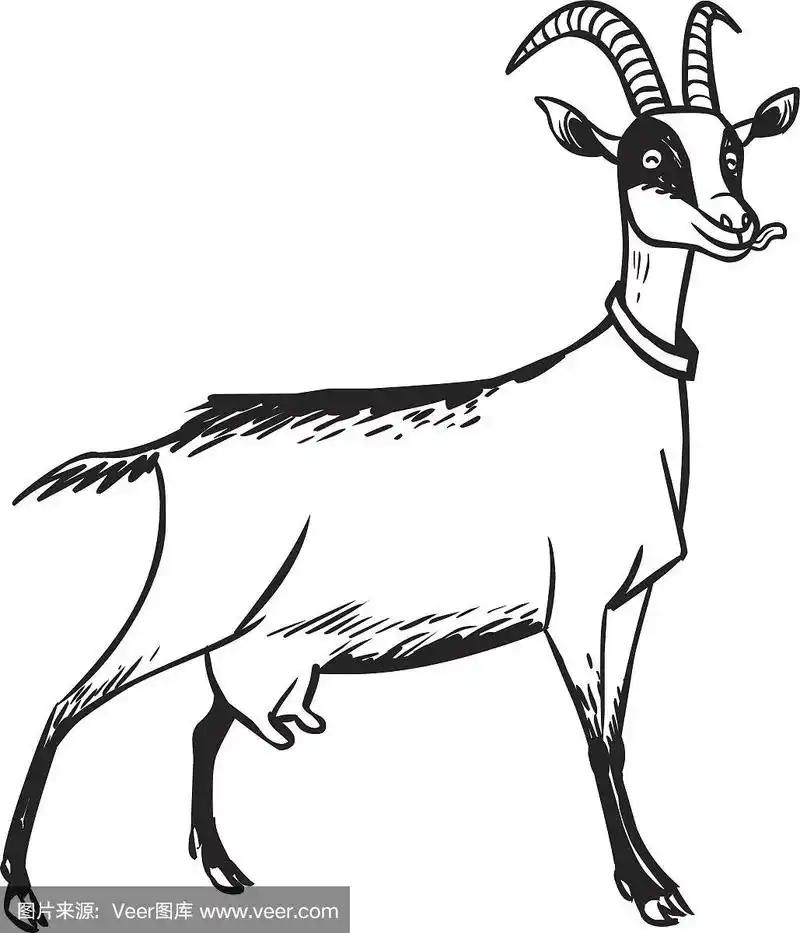 有趣的卡通山羊.矢量图