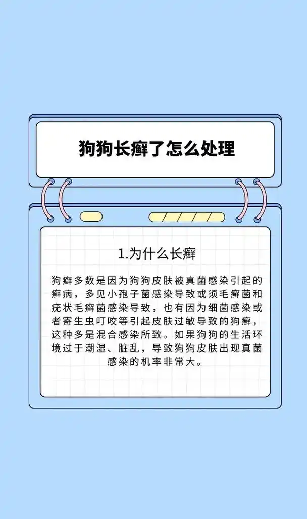 狗癣是比较常见的一种皮肤疾病,铲屎官该如 - 抖音