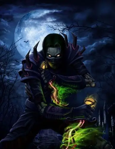 求一张魔兽世界一个亡灵盗贼的的壁纸!