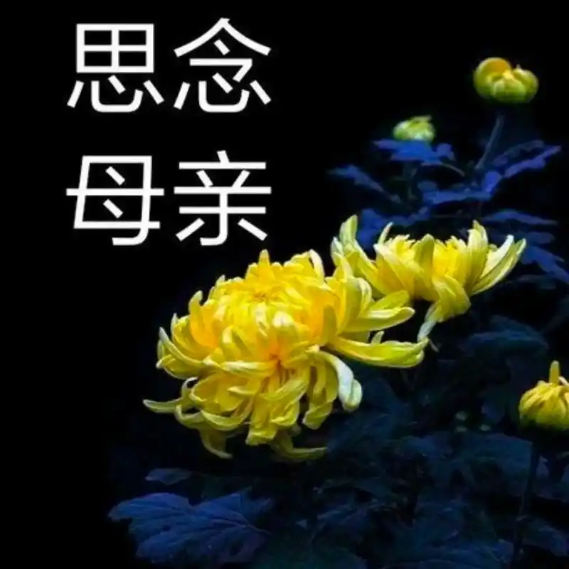 思念天堂的父母.阴阳相隔两世间,想见父母难上难. 能隔千山不 - 抖音