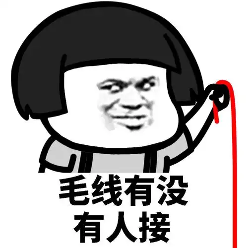 毛线有没有人接