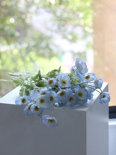 冰岛虞美人罂粟花假花仿真绢花客厅门店野餐旅拍田园道具拍照摆件