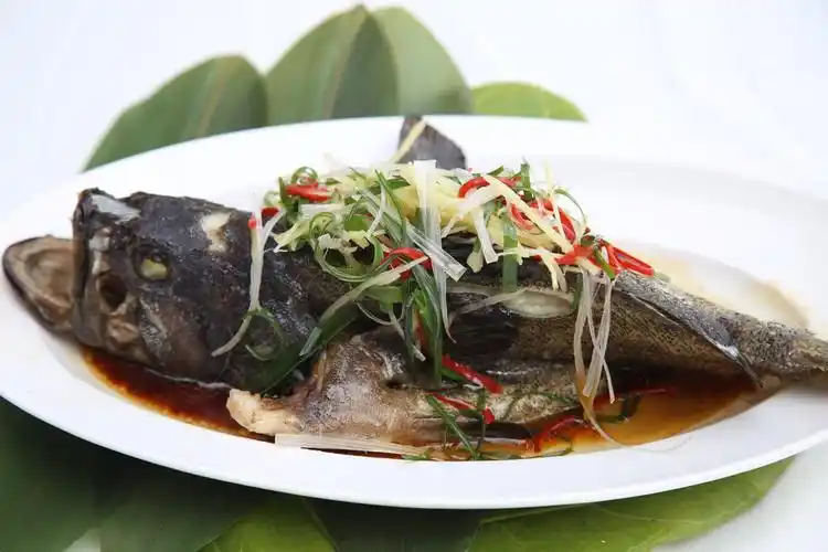 清蒸石斑鱼图片