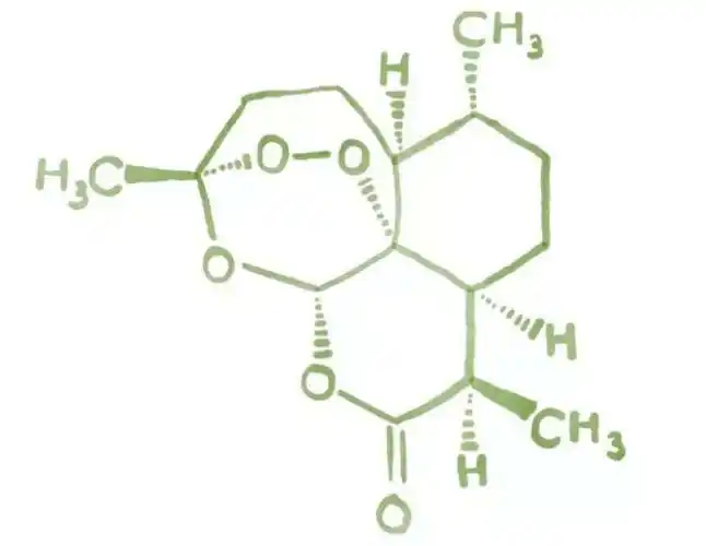 红斑狼疮青蒿素是什么