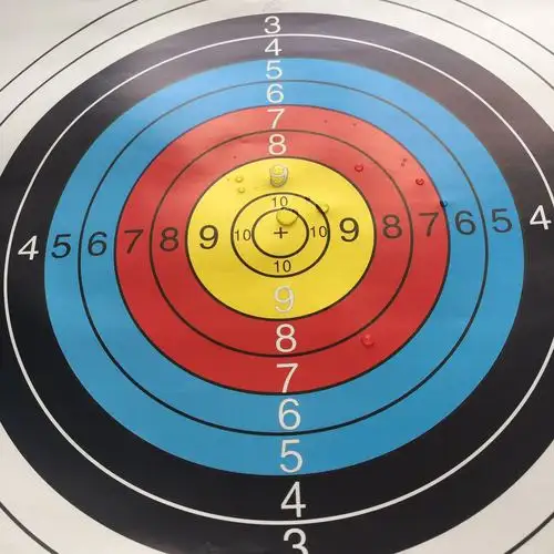 厂家直销射击枪靶 40 60cm练习射击靶纸 射击靶练习靶纸 射箭器材-阿