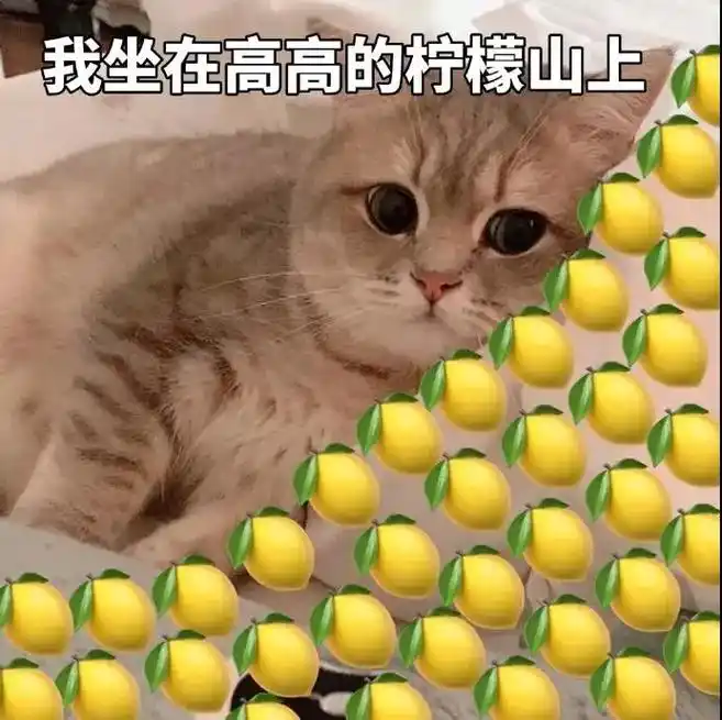 酸了 #表情包 #行走 - 抖音