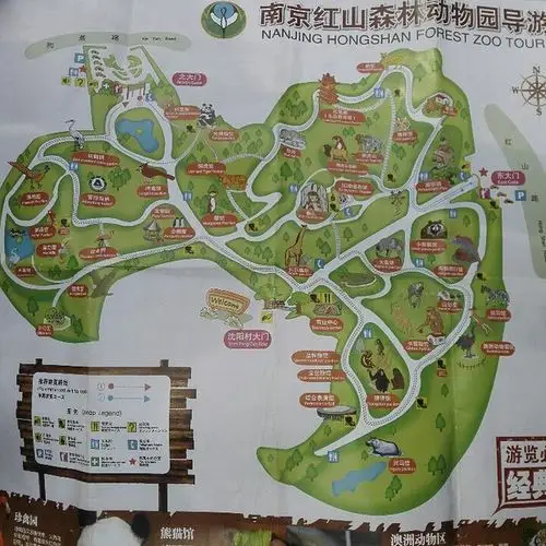 南京红山森林动物园