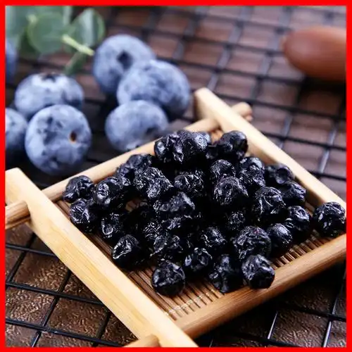 无添加野生蓝莓干果